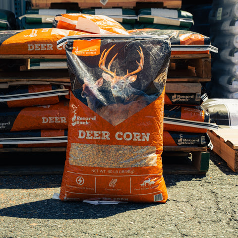 A large orange and black bag of Record Brand Deer Corn standing on a gravel surface in front of stacked bags on wooden pallets outdoors.