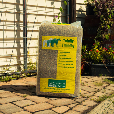 A large yellow bag of Lucerne Farms Totally Timothy horse feed stands on a stone patio in front of a house with a wire fence and garden plants.