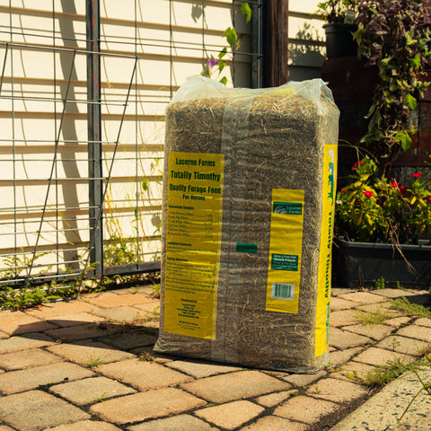 A large yellow bag of Lucerne Farms Totally Timothy horse feed stands on a stone patio in front of a house with a wire fence and garden plants.