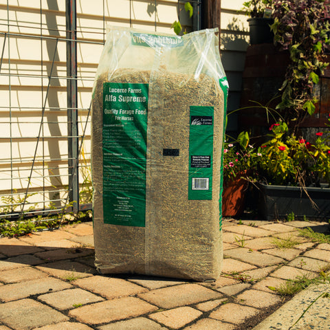 A large green bag of Lucerne Farms Alfa Supreme horse feed stands on a stone patio in front of a house with a wire fence and garden plants.