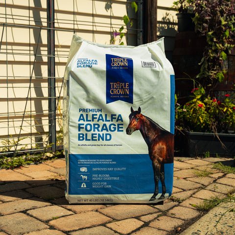 A large bag of Triple Crown Premium Alfalfa Forage Blend horse feed stands on a stone patio in front of a house with a wire fence and garden plants.