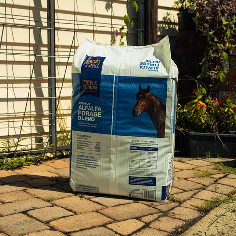 A large bag of Triple Crown Premium Alfalfa Forage Blend horse feed stands on a stone patio in front of a house with a wire fence and garden plants.