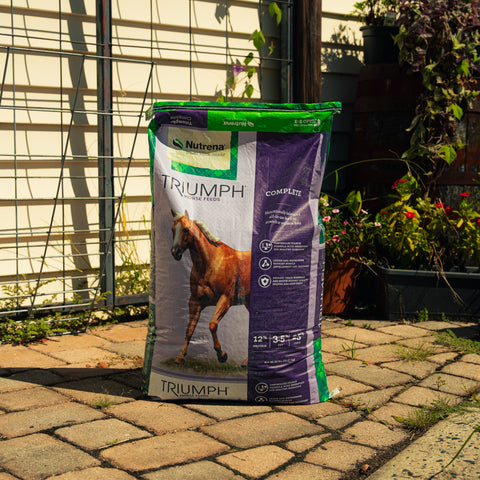 Nutrena Triumph Complete horse feed bag showing colorful packaging and a feeding scoop, designed for horse nutrition.