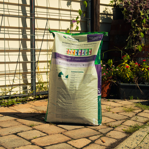 Nutrena Triumph Complete Horse Feed bag showing detailed label and colorful packaging for healthy horse nutrition.