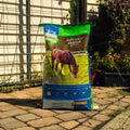 Nutrena SafeChoice Senior horse feed bag featuring a colorful label and product details on a white background.