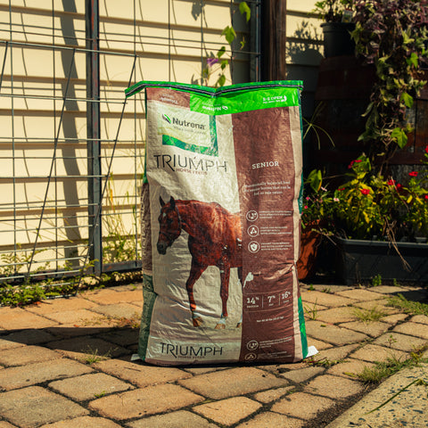 Nutrena Triumph Senior Horse Feed bag showing the product label and branding on a farm feed shelf.