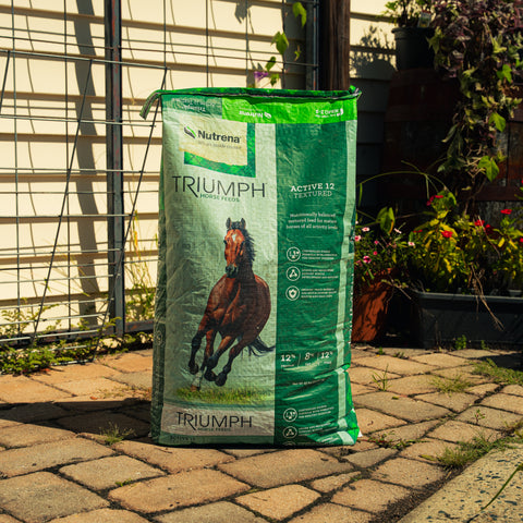 Nutrena Triumph Active 12 textured horse feed bag with grains and pellets, designed for active riding horses.