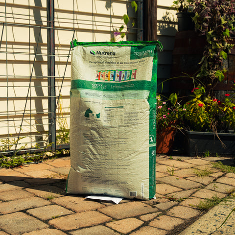 Nutrena Triumph Active 12 textured horse feed bag with colorful labeling and scoop, designed for active horses.