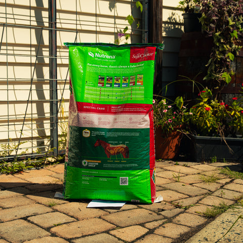 Nutrena SafeChoice Special Care horse feed bag showing label and feeding instructions for horse nutrition.