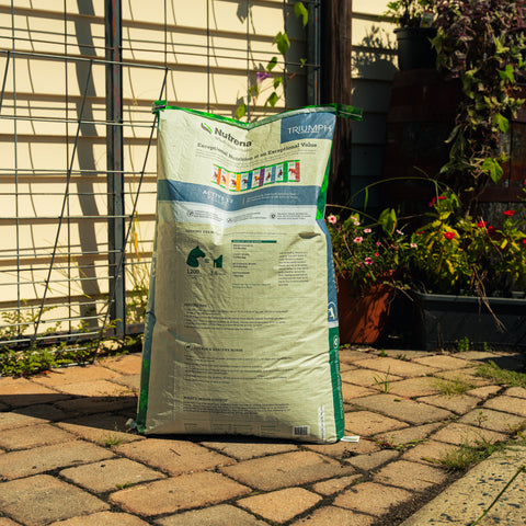 Nutrena Triumph Active 12 Pellet Horse Feed bag showing textured horse feed pellets in a bag.
