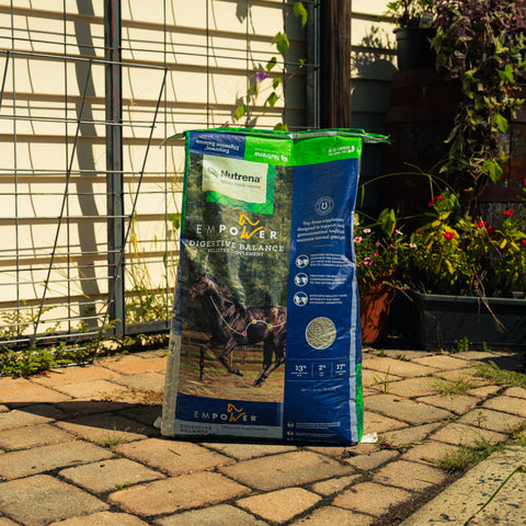 Nutrena Empower Digestive Balance equine supplement for horses, showing the product packaging with branding and label details.