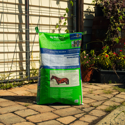 Nutrena Empower Digestive Balance horse supplement in a white container with a label, designed to support equine digestive health.