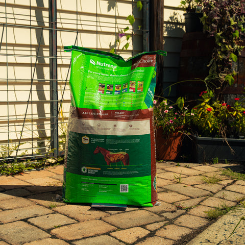 A large bag of Natural Balance Safe-Choice All Life Stages Premium Horse Feed stands on a stone patio in a backyard setting with a fence and plants in the background.