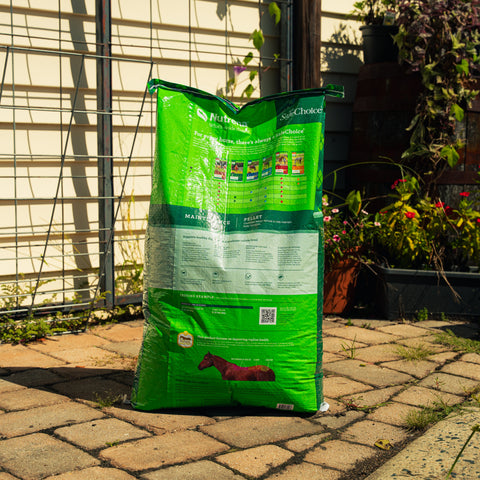 Nutrena SafeChoice Maintenance Horse Feed bag with a horse grazing in a stable setting.