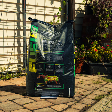 A large black bag of ProForce Fuel XF supplement stands on a paved patio in front of a garden fence and trellis, with plants visible in the background.