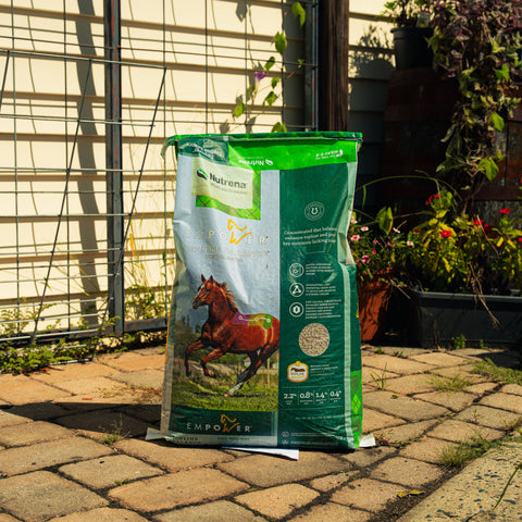 A large bag of Empower Topline Balance supplement stands on a paved patio in front of a garden fence and trellis, with plants visible in the background.