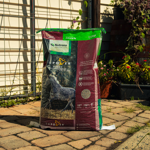 A large bag of Empower Boost supplement stands on a paved patio in front of a garden fence and trellis, with plants visible in the background.