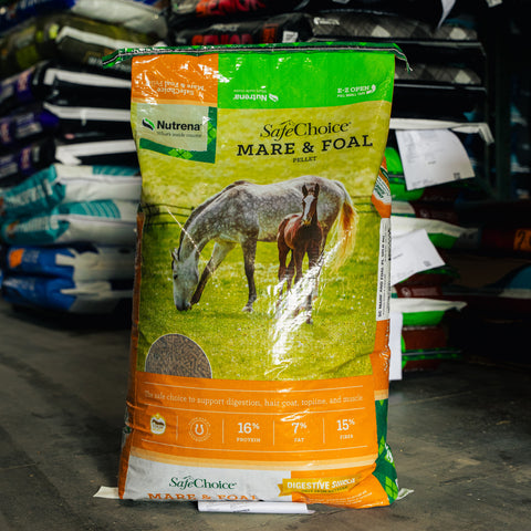 Nutrena SafeChoice Mare and Foal horse feed bag showing the product packaging and branding.