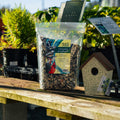 Wild bird seed blend by The Mill featuring chickadees and nuthatches feeding on seed mix in a natural setting.