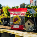 Black oil sunflower bird seed for wild birds, showing the dark, oily sunflower seeds ideal for attracting songbirds.