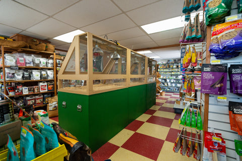Interior of a store with a green and wooden display case, shelves with products, and a checkered floor.