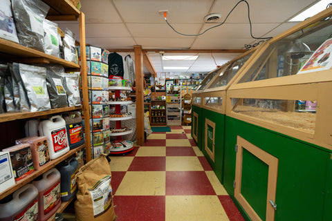 Interior of a store with shelves stocked with products and a checkered floor.