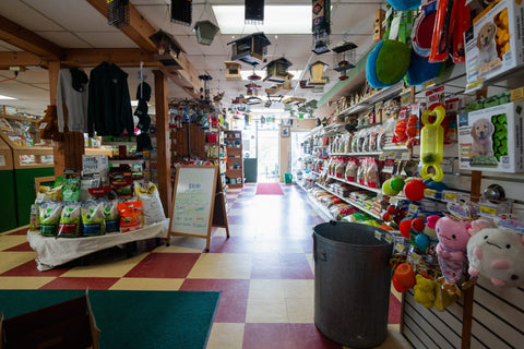 Interior of a store with various products on shelves and hanging decorations.