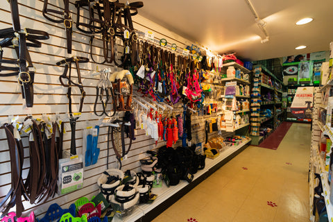 Horse accessories store with hanging leashes and collars on a wall.
