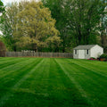 Lawn with a small shed and trees in the background