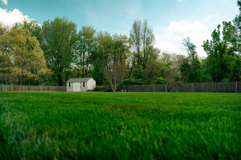 Small house in a grassy field with trees and a wooden fence in the background