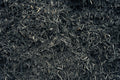 Close-up of dark compost or soil with visible texture