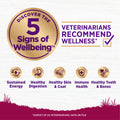 Wellness Pet Company small breed Turkey and Oatmeal dry dog food in a 12 lb bag, featuring wholesome ingredients for healthy digestion.