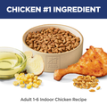 Hill's Science Diet adult indoor chicken recipe dry cat food bag with kibble on a white background