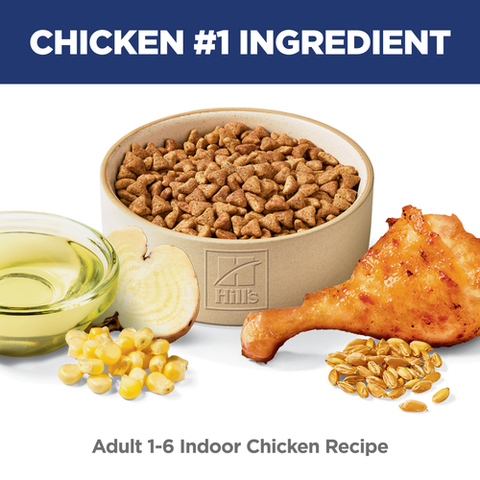 Hill's Science Diet adult indoor chicken recipe dry cat food bag with kibble on a white background