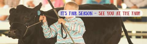 Boy showing a cow at the fair