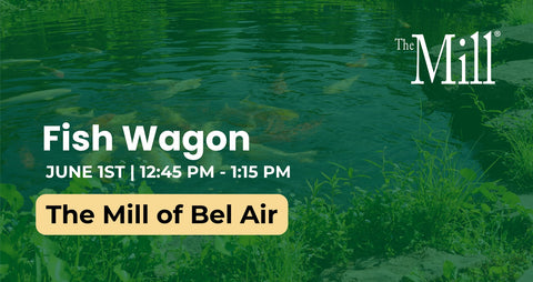 Promotional flyer for 'Fish Wagon' event at The Mill of Bel Air with a green background and fish imagery.
