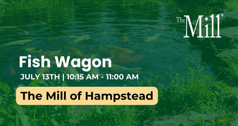 Advertisement for Fish Wagon event at The Mill of Hampstead with a green background and fish swimming.