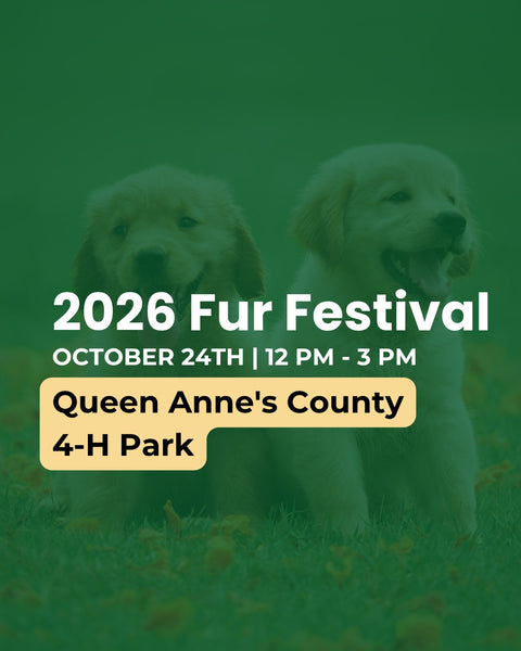 Flyer for the 2026 Fur Festival with golden retriever in the background  