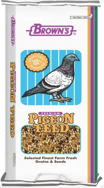 Breeder Popcorn Brown's Pigeon Feed