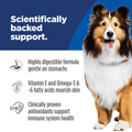 Hill's Science Diet adult dog food with chicken and barley, designed for sensitive stomach and skin health.
