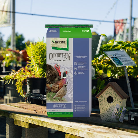 Nutrena Gamebird Feed in a bag, bird food designed for gamebirds, with a close-up of the packaging and bird feed pellets.