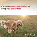 Golden retriever running outdoors with a bowl of Diamond Naturals adult beef meal and rice dry dog food in the foreground.