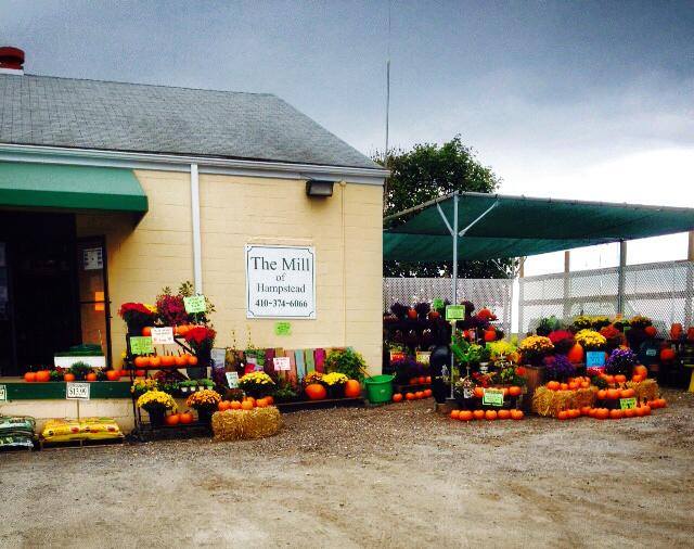 Prev-Am Crop Biopesticide and Insecticide 2.5 gal. – The Mill