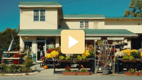 Storefront with outdoor displays of flowers and plants on a sunny day.