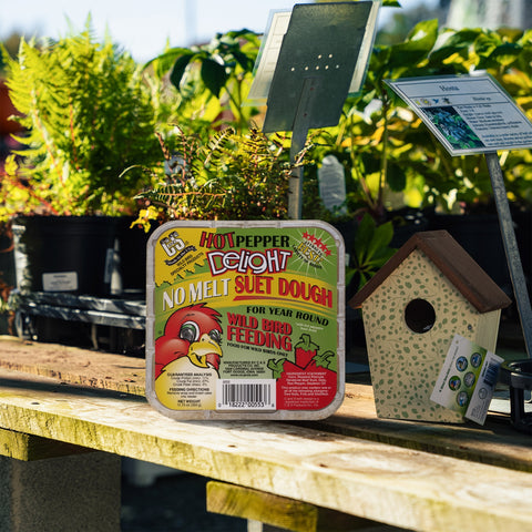 C&S Wild Bird Specialty Products Hot Pepper Delight Suet block for wild birds, featuring vibrant red peppers and bird-friendly ingredients.