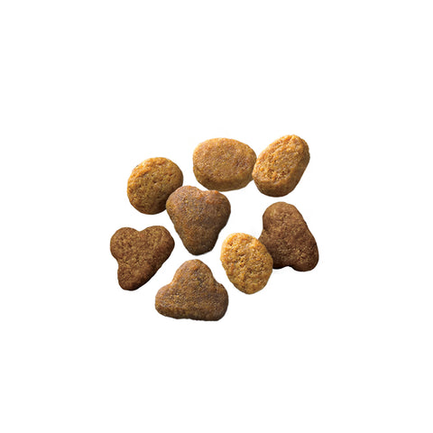 Image of Purina Pro Plan Adult Complete Essentials Chicken & Rice Formula dry cat food, showing the bag with kibble and branding.