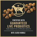 Purina Pro Plan adult dry cat food with chicken and rice formula, showing a bag of Purina dog food with chicken and rice ingredients.