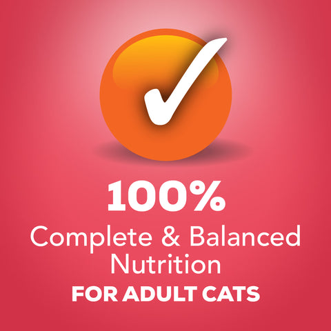 Assorted Friskies Prime Filets wet cat food variety pack with 48 cans, featuring colorful labels and cat food images