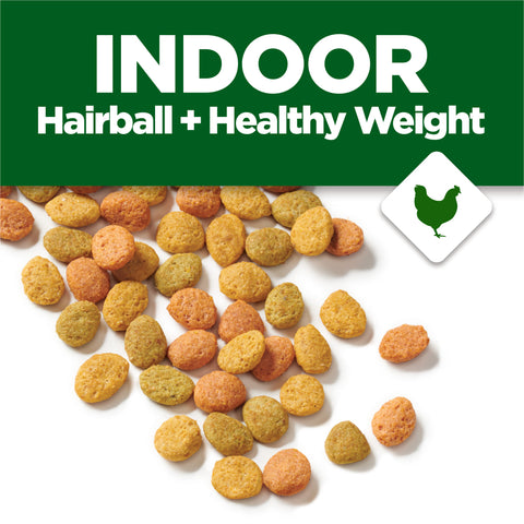 Purina Indoor Cat Chow Dry Cat Food
