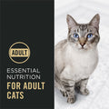 Image of Purina Pro Plan Adult Complete Essentials Chicken and Rice Formula dry dog food in a bag, showcasing the product packaging.